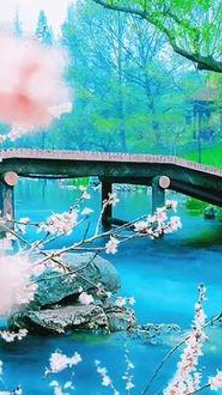 旋转飞机